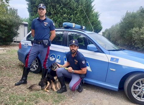 LO SPOT DELLA POLIZIA DI STATO CONTRO L’ABBANDONO DEGLI ANIMALI