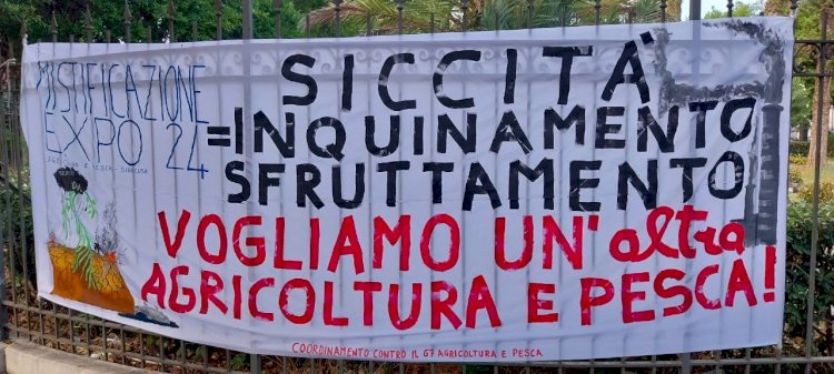 G7 agricoltura e pesca a Siracusa: ma era il caso?