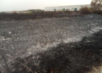 Incendi Punta Aderci, perché l’inferno in un paradiso?