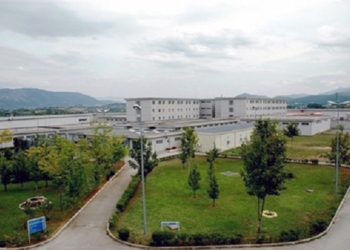 La Verità, la giustizia e il dolore umano non hanno padrini e padroni