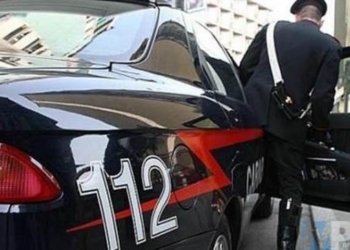 Associazione per delinquere finalizzata al traffico internazionale di sostanze stupefacenti: 14 misure cautelari