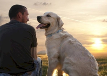 Animali domestici: un antidoto alla solitudine della pandemia