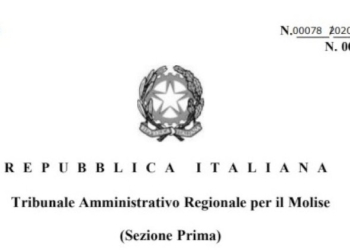 Tar Molise: il feroce attacco di Scarabeo
