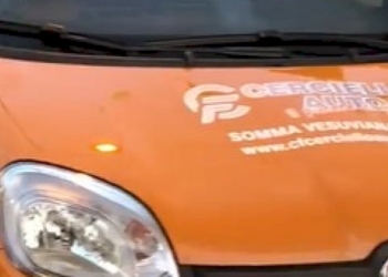 La verità sulla Panda