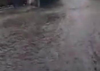 Qualcuno ha una barca?