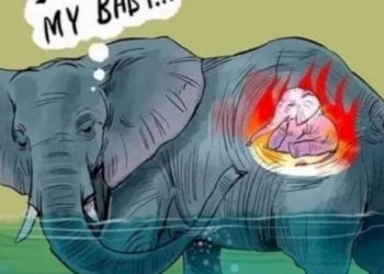 Umanità allo sbando