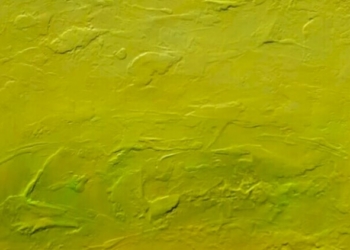 Ritratti/ALBERTO D’ALESSANDRO, LA PERIFERIA, LUOGO DELLA NARRAZIONE MEDITATA