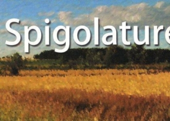 SPIGOLATURE