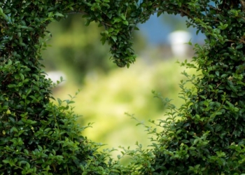 DOLCE CUORE