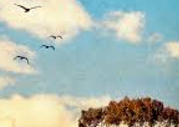 «La nebbia sale dalla terra», il nuovo libro di Antonella Presutti