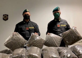 GdF: arrestato spacciatore con «reddito di cittadinanza». Sequestrati 17 kg di marijuana