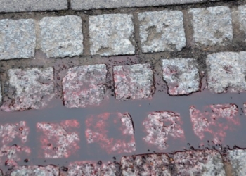 Una giovane vita spezzata: giovane di 19 anni muore accoltellato