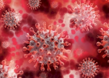 Pandemia, tra sciacalli e deliri irrompe il vero dolore