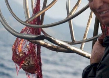 Angelo Vassallo: quando un sogno non muore mai