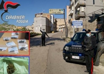Foggia, arresti per traffico di droga