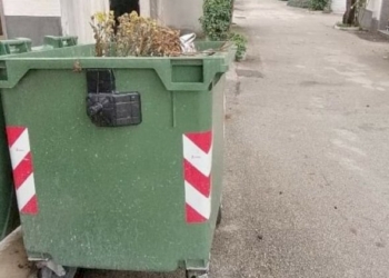 Perché al cimitero di Somma Vesuviana non viene fatta la raccolta differenziata?