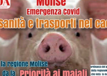 Emergenza covid in Molise, sanità e trasporti nel caos