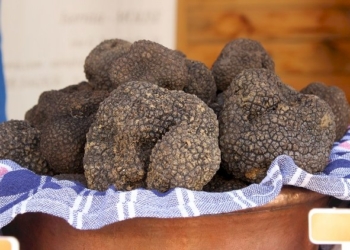 Un webinar per scoprire l’analisi sensoriale del tartufo nero pregiato