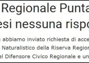 PAN Riserva Punta Aderci, finalmente una risposta da Palazzo di Città