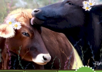 Adotta un rifugio 2021: per aiutare gli animali ed i rifugi in difficoltà