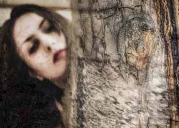 Nina Maroccolo. La rivoluzione degli eucalipti