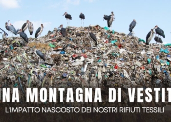 La seconda fonte di inquinamento