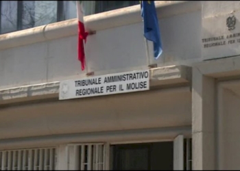 «Il Comitato VERITA’ E DIGNITA’ VITTIME COVID 19 ha diritto ad avere la disponibilità dei documenti per l’emergenza pandemica»