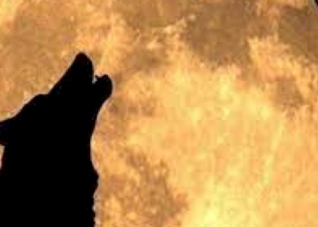 «La Verità vi farà liberi»