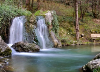 Parco Regionale del Matese: arriva la certificazione FSC