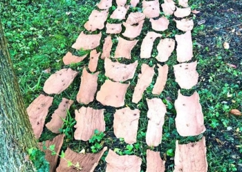 NaturaViva – Hortus Conclusus
