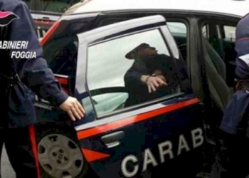 Denuncia di don Fortunato Di Noto (Meter): in Olanda rinasce un partito pro pedofili