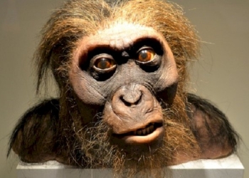 Riemerge l’uomo delle caverne. Qualcuno, in alcuni Paesi, va al potere e governa!