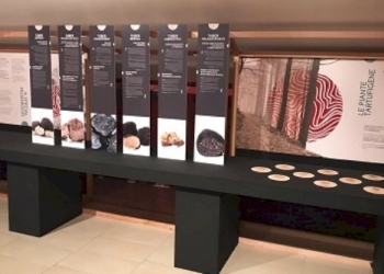 A San Pietro Avellana apre il Museo del Tartufo