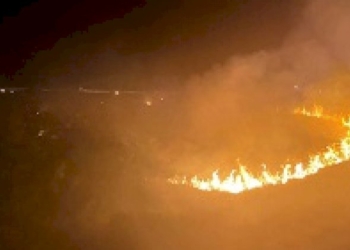 Incendi a Punta Aderci. Si rivelano «criticità gravi» in una «zona colpita da incendi quasi ogni anno»