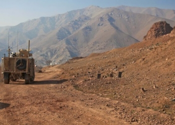 SIAMO IN PRESENZA DI UN NUOVO NAZISMO