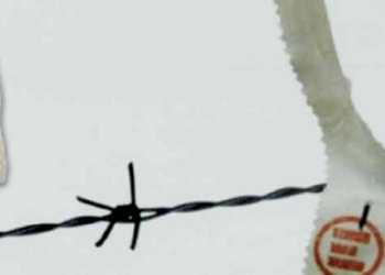 Gino Strada e la fortezza disumana e guerrafondaia del grande Gendarme