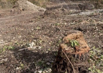 «No Lotto Zero», il botta e risposta