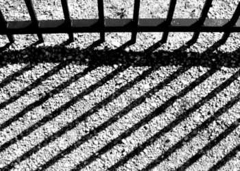 Delitti di criminalità organizzata e controversa realtà del regime carcerario