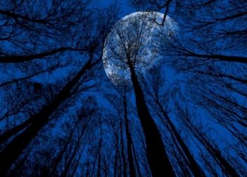 Luna blu