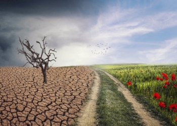 Siate il cambiamento che volete vedere nel mondo
