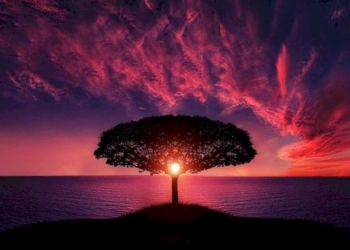 SINFONIE AL TRAMONTO 