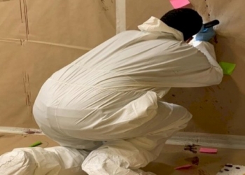 La sostanziale differenza tra un criminologo e un criminalista