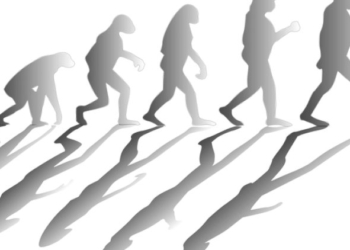 La parola pace é l’opposto di ciò che implica il darwinismo sociale