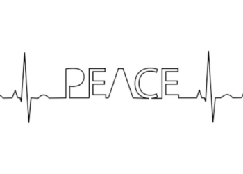 «Assumetevi le vostre responsabilità»