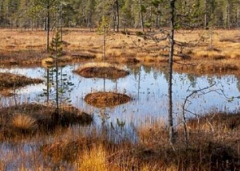 Post voto: «stiamo affondando in un fetido pantano»