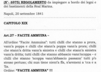 «FACIMM AMMUINA»