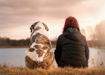 Certe notizie generano rabbia difficile da controllare