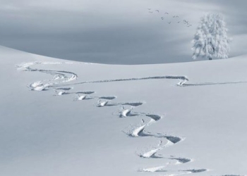 Fuori corsa
