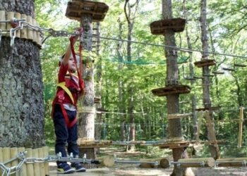 Al Cerris Park divertenti laboratori ambientali per i bambini