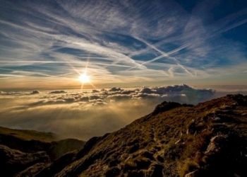 UNA QUALSIASI ALBA